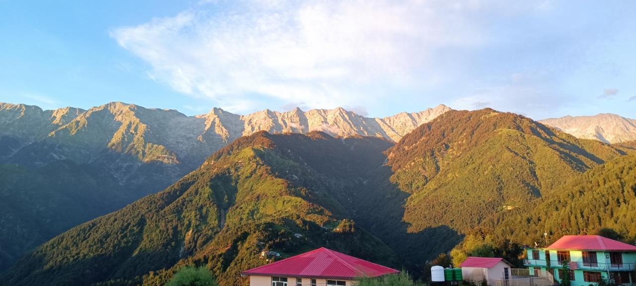 Sahaj Homestay Naddi 达兰萨拉 外观 照片
