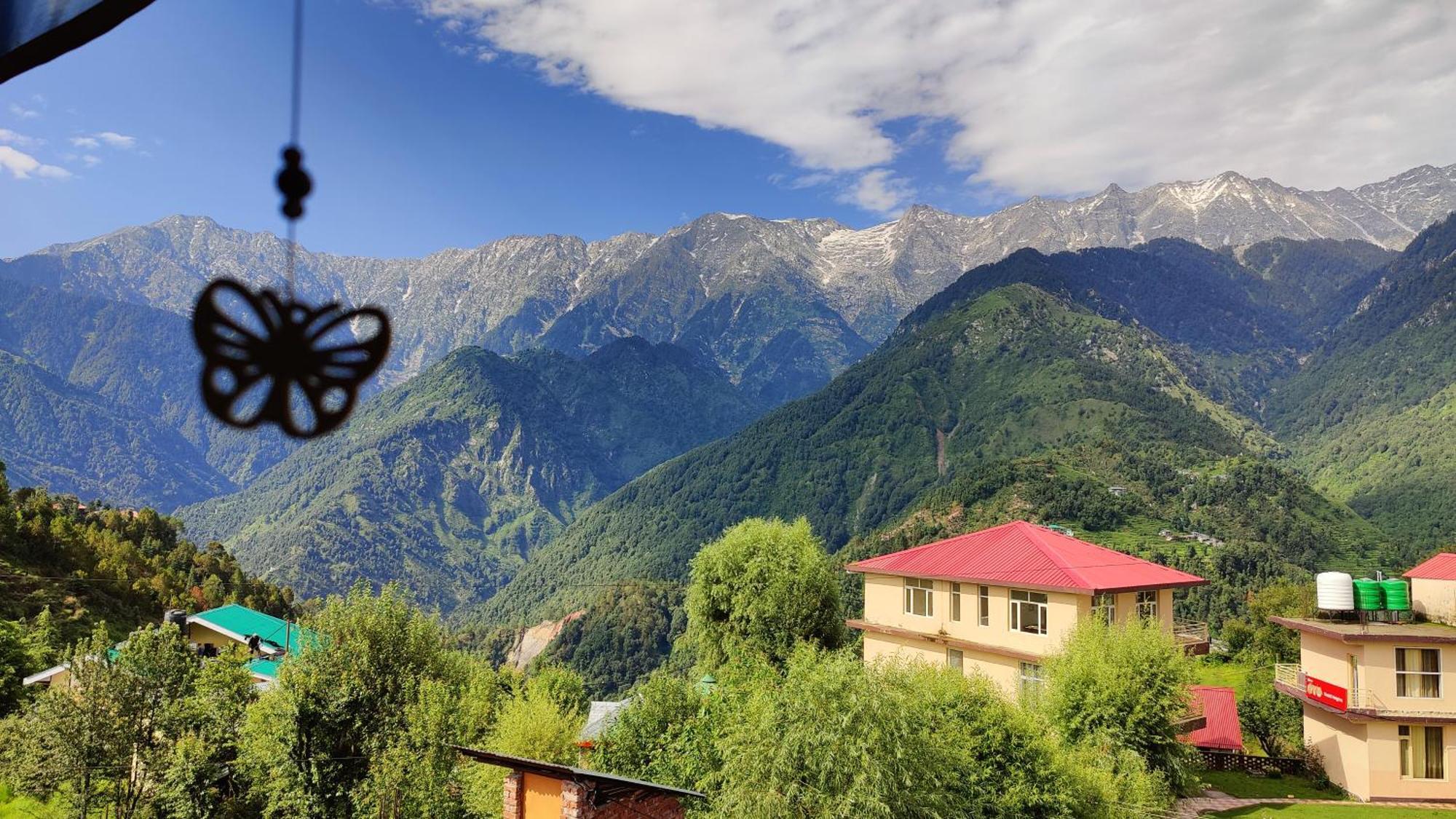 Sahaj Homestay Naddi 达兰萨拉 外观 照片